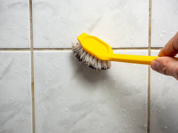 Best Mold Cleaning Services  in Natchitoches, LA
