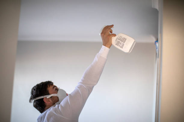 Best Black Mold Removal  in Natchitoches, LA