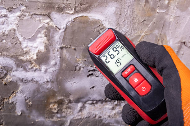 Best Toxic Mold Removal  in Natchitoches, LA
