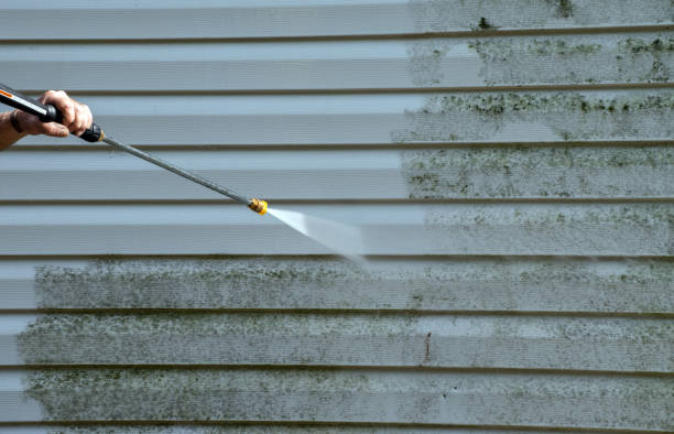 Best Mold Damage Repair  in Natchitoches, LA