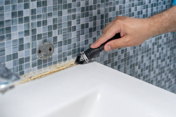 Best Mold Remediation Services  in Natchitoches, LA